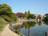 樋の池公園　徒歩4分